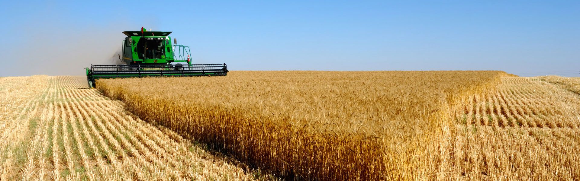 用 標(biāo) 準(zhǔn)    改 變 農(nóng) 業(yè)